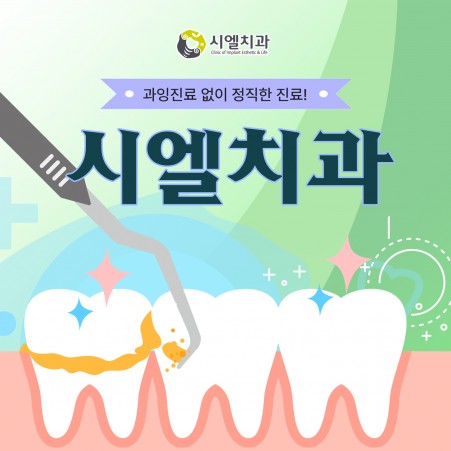 마케팅 시엘치과